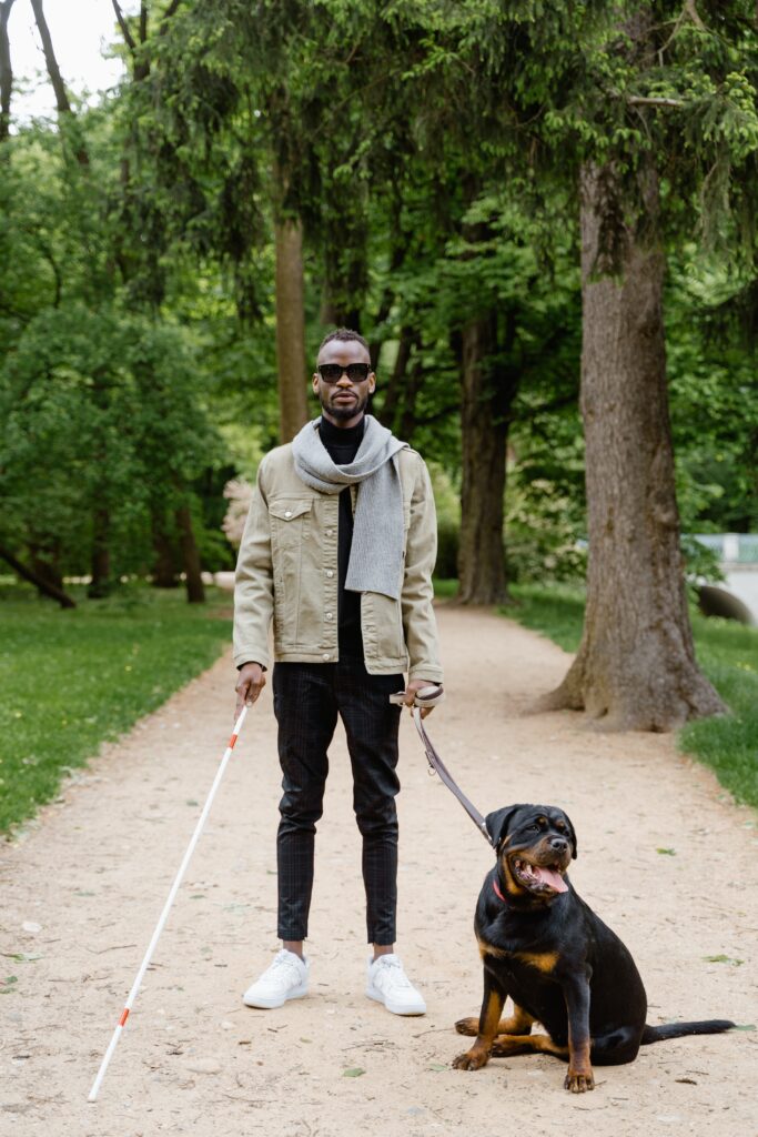 A blind man with a walking stick and a dog. DDA consultants can help to ensure that such individuals needs are catered for in new developments.